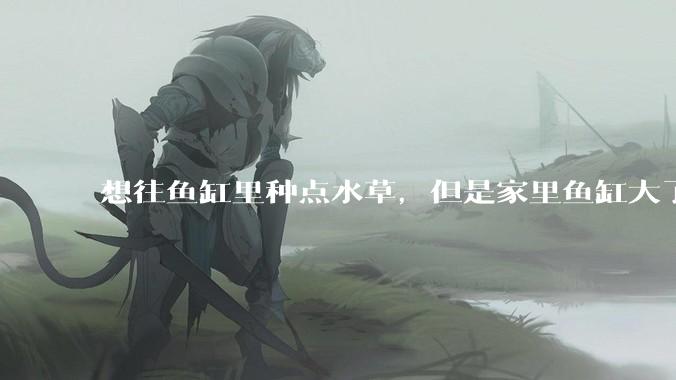 想往鱼缸里种点水草，但是家里鱼缸大了买水草泥或者底砂太贵了，有没有生活中可以替代的物品或其他建议？