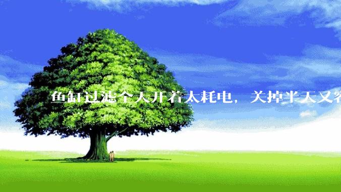 鱼缸过滤全天开着太耗电，关掉半天又容易水浑，有什么好办法？