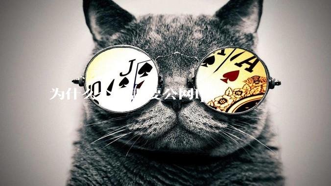 为什么个人需要公网ip？