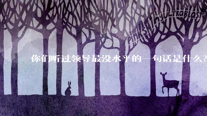 你们听过领导最没水平的一句话是什么？