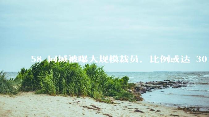 58 同城被曝大规模裁员，比例或达 30%，具体情况如何？58 同城目前面临哪些问题？