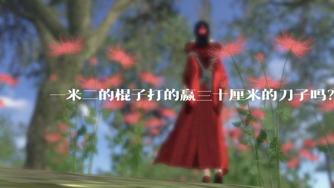一米二的棍子打的赢三十厘米的刀子吗？