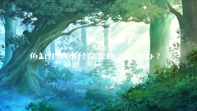 鱼缸里的水经常要换，怎么办?