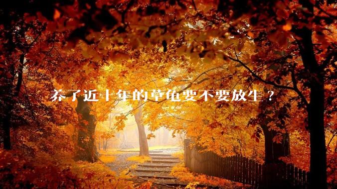 养了近十年的草龟要不要放生?