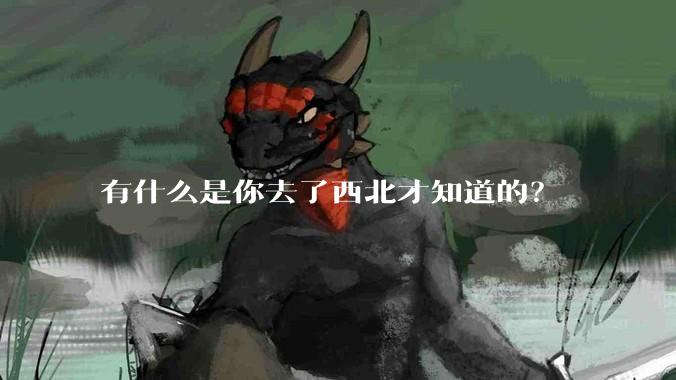 有什么是你去了西北才知道的？