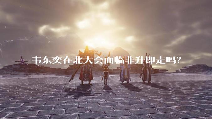 韦东奕在北大会面临非升即走吗？