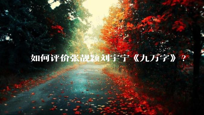 如何评价张靓颖刘宇宁《九万字》?