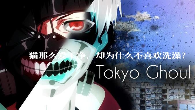 猫那么爱干净，却为什么不喜欢洗澡？